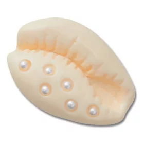 Crocs Fehér kagyló Jibbitz