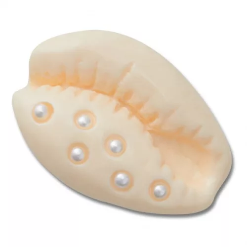 Crocs Fehér kagyló Jibbitz