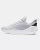 Under Armour CURRY 12 Grey