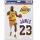 WinCraft - NBA Multi Use 3 Fan Pack Decal LeBron James Los Angeles Lakers MC