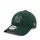 New Era 940 MLB Metallic Outline 9FORTY New York Yankees Green