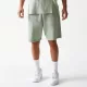 New Era NBA Los Angeles Lakers Shorts Pastel Green L