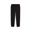 Puma Fundamentals Sweatpant FL Black L