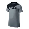 Nike Boys LeBron Logo Graphic T-Shirt GREY