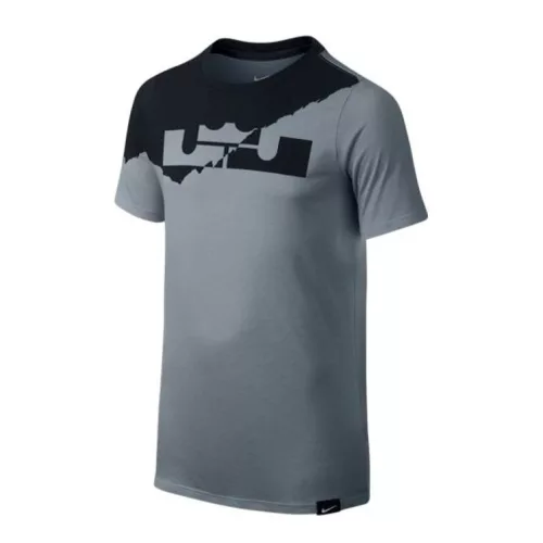 Nike Boys LeBron Logo Graphic T-Shirt GREY