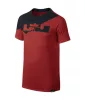 Nike Boys LeBron Logo Graphic T-Shirt LIGHT CRIMSON
