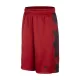 Nike Boys LeBron Essential 2.0 Short  LIGHT CRIMSON