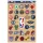 WinCraft - NBA Multi-Use Decal 11x17 Mixed Teams MC