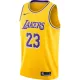NIKE X NBA LEBRON JAMES LOS ANGELES LAKERS ICON EDITION SWINGMAN JERSEY AMARILLO/FIELD PURPLE/WHITE/JAMES LEBRON