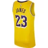 NIKE X NBA LEBRON JAMES LOS ANGELES LAKERS ICON EDITION SWINGMAN JERSEY AMARILLO/FIELD PURPLE/WHITE/JAMES LEBRON