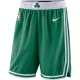 Nike Boston Celtics Icon Edition Swingman Short