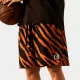 Dunk Shorts Tiger Beat
