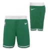 Nike NBA Boston Celtics Icon Replica Short Green S