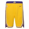 Nike NBA Los Angeles Lakers Icon Replica Short Yellow