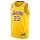 Nike NBA Los Angeles Lakers LeBron James Icon Edition 23 Jersey Yellow
