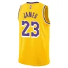 Nike NBA Los Angeles Lakers LeBron James Icon Edition 23 Jersey Yellow