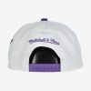 MITCHELL & NESS LOS ANGELES LAKERS FAST TIMES SNAPBACK White