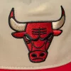 Mitchell & Ness NBA Chicago Bulls Retro Roots Deadstock Cream ONE