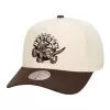 Mitchell & Ness NBA Toronto Raptors Brown And Cream Pro Snapback Hwc Cream