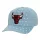 Mitchell & Ness NBA Chicago Bulls Seeing Stars Pro Snapback Blue ONE