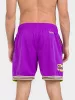 MITCHELL & NESS NBA FASHION NEON MESH SHORTS VINTAGE LOGO Toronto Raptors Purple XL