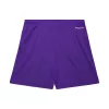Mitchell & Ness NBA Gameday Mesh 7In Shorts Vintage Logo Toronto Raptors Purple