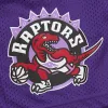Mitchell & Ness NBA Gameday Mesh 7In Shorts Vintage Logo Toronto Raptors Purple