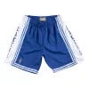 MITCHELL & NESS NBA LOS ANGELES LAKERS SWINGMAN SHORTS ROYAL XL