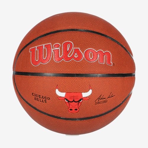 WILSON NBA TEAM COMPOSITE CHICAGO BULLS BASKETBALL 7 BROWN