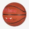 WILSON NBA TEAM COMPOSITE CHICAGO BULLS BASKETBALL 7 BROWN
