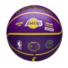 WILSON NBA PLAYER ICON OUTDOOR BSKT LEBRON JAMES Yellow/Purple