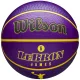 WILSON NBA PLAYER ICON OUTDOOR BSKT LEBRON