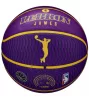 WILSON NBA PLAYER ICON OUTDOOR BSKT LEBRON