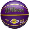 WILSON NBA PLAYER ICON OUTDOOR BSKT LEBRON