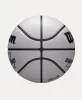 Wilson NBA Player Icon UV Giannis Antetokounmpo BSKT Grey